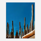 Mexico Cactus Family rooftop canvas artwork from the Travel Collection Spring 26, featuring vibrant desert plants in a studio edition print.