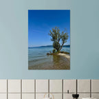 Majestic tree on a European lake aluminum print, nature-inspired wall art from the Travel Collection, studio edition, showcasing serene landscape.