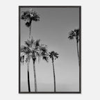 Premium wooden framed black and white California beach icons poster with semi-glossy finish from Studio Edition.