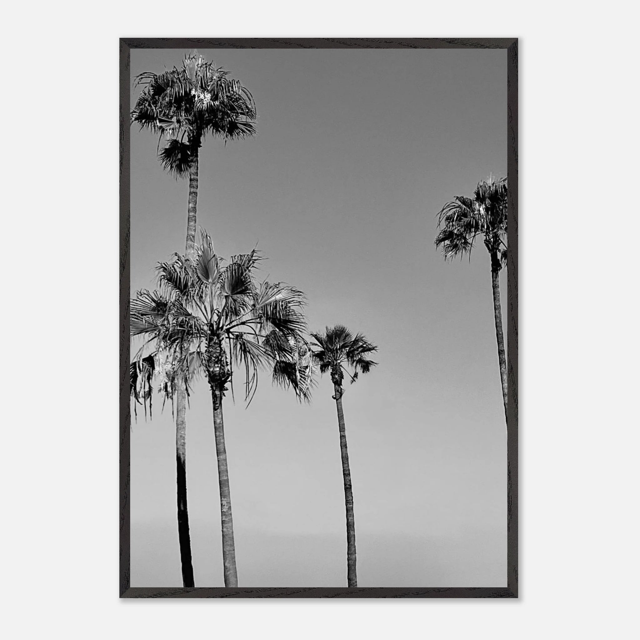Premium wooden framed black and white California beach icons poster with semi-glossy finish from Studio Edition.