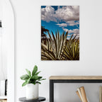 Canvas artwork of Oaxaca Desert mezcal plantation from the Travel Collection by My Store, featuring vibrant desert colors.