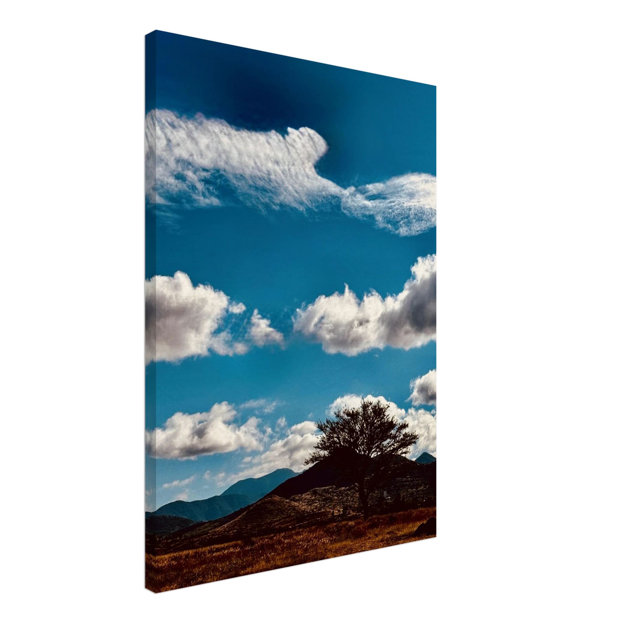 Oaxaca Mountains canvas artwork featuring vibrant colors and scenic landscapes, part of Spring '26 travel collection.