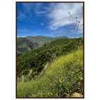 Wooden framed Malibu Canyon Wildflowers print on museum-quality matte paper wall art, featuring California wildflower scene.