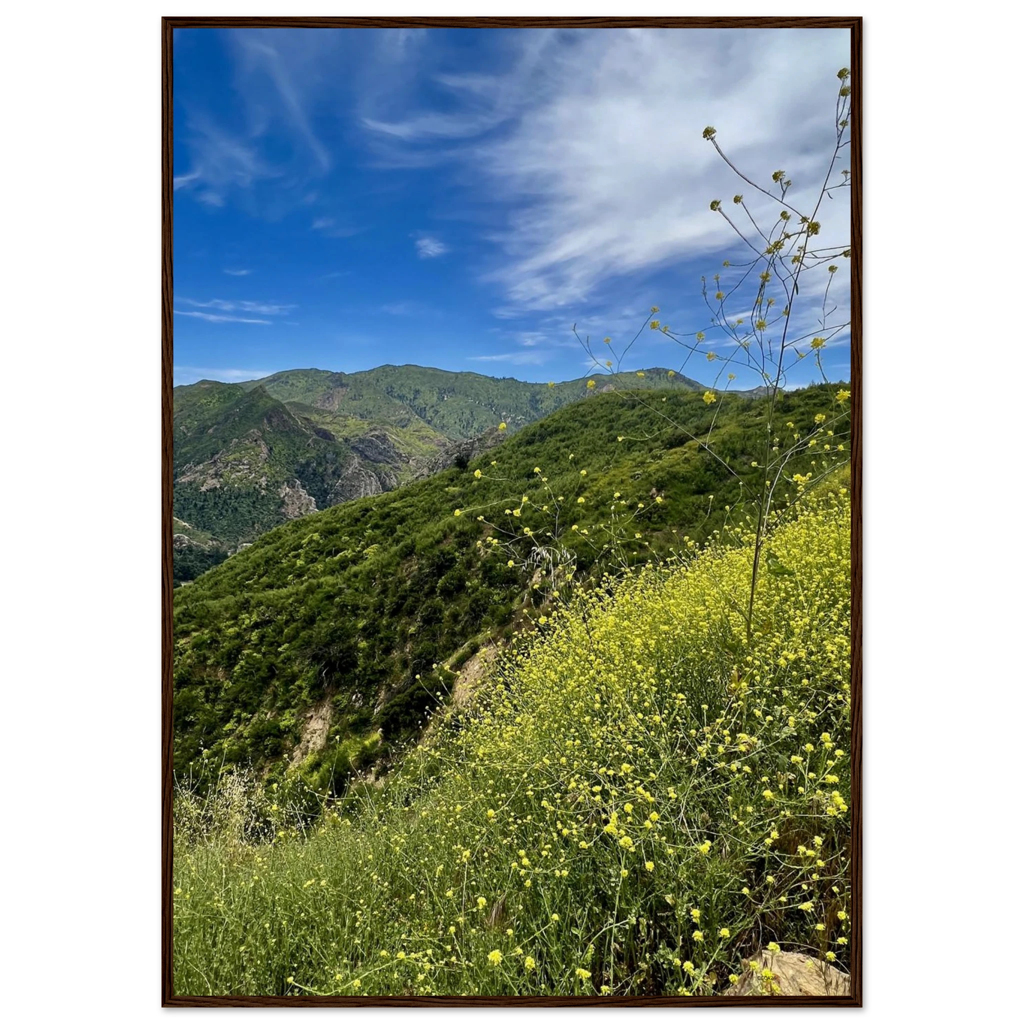 Wooden framed Malibu Canyon Wildflowers print on museum-quality matte paper wall art, featuring California wildflower scene.