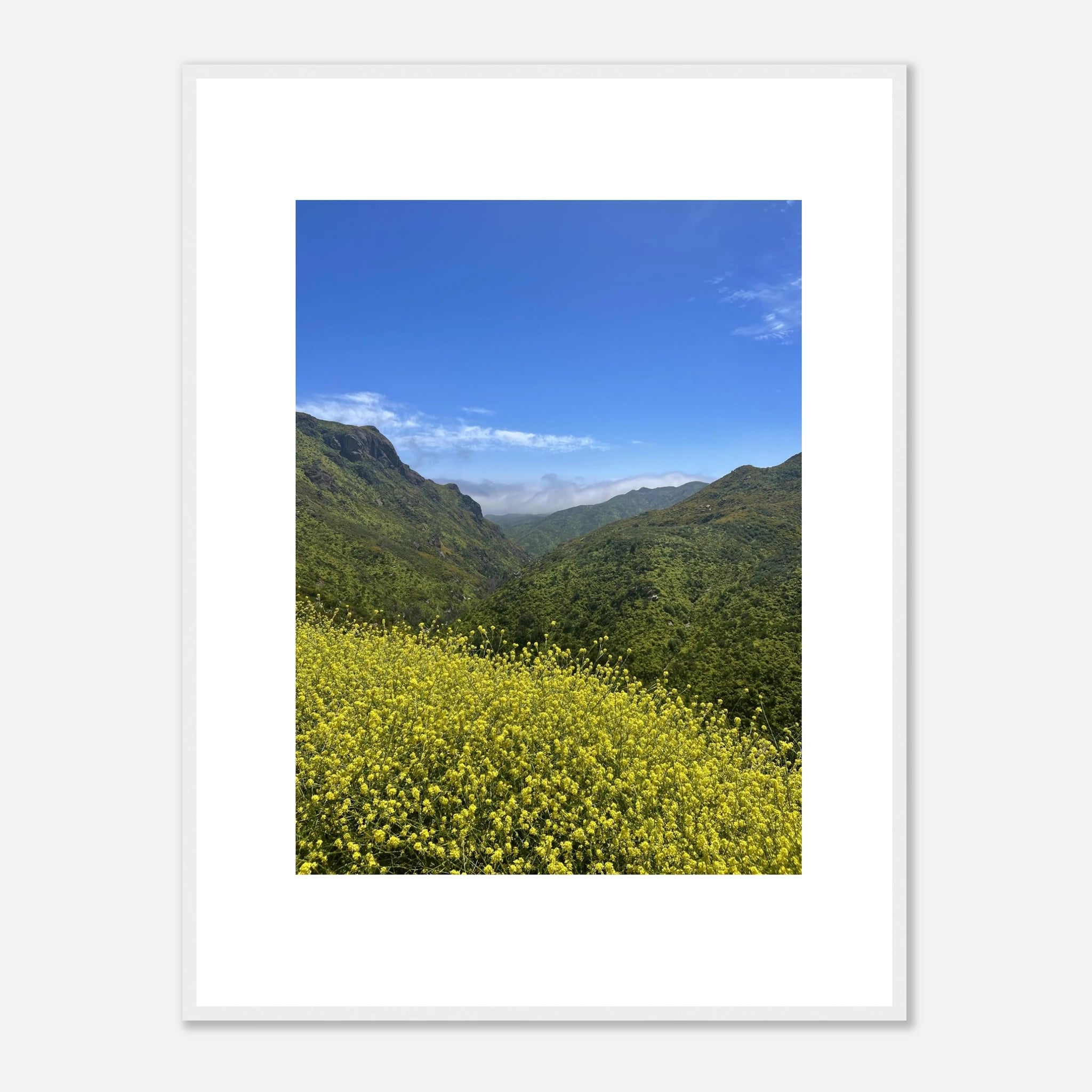 High-quality framed art print of Malibu Canyon spring wildflowers, California landscape, Studio Edition by My Store.