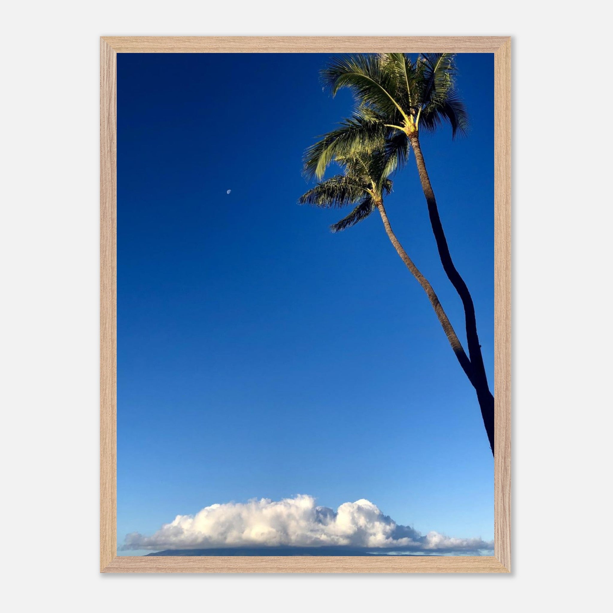 43d7fc27-0582-411c-9cc9-3af251af5f25