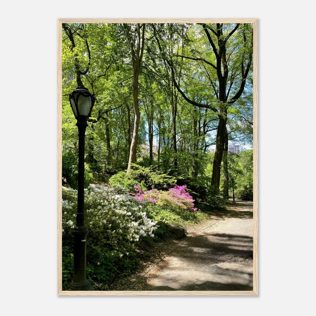 Framed art print of Central Park walkway on premium matte paper, featuring a serene park scene with wooden frame.