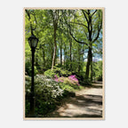 Framed art print of Central Park walkway on premium matte paper, featuring a serene park scene with wooden frame.