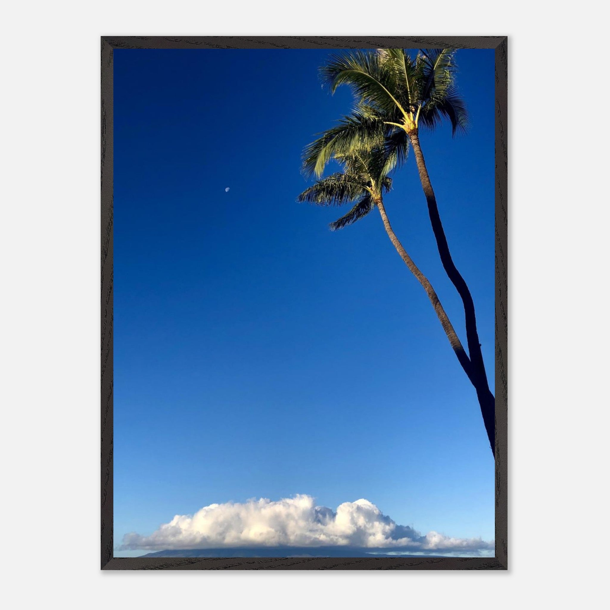 4511a01b-cfef-4055-85e7-80b96be4d43a