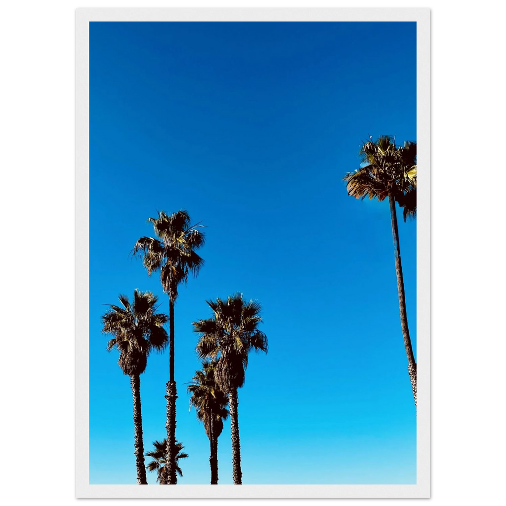 California Santa Barbara palm tree poster by CaliCuration, framed wooden home decor art print with semi-glossy finish, Spring 2026 edition.