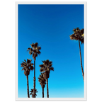California Santa Barbara palm tree poster by CaliCuration, framed wooden home decor art print with semi-glossy finish, Spring 2026 edition.