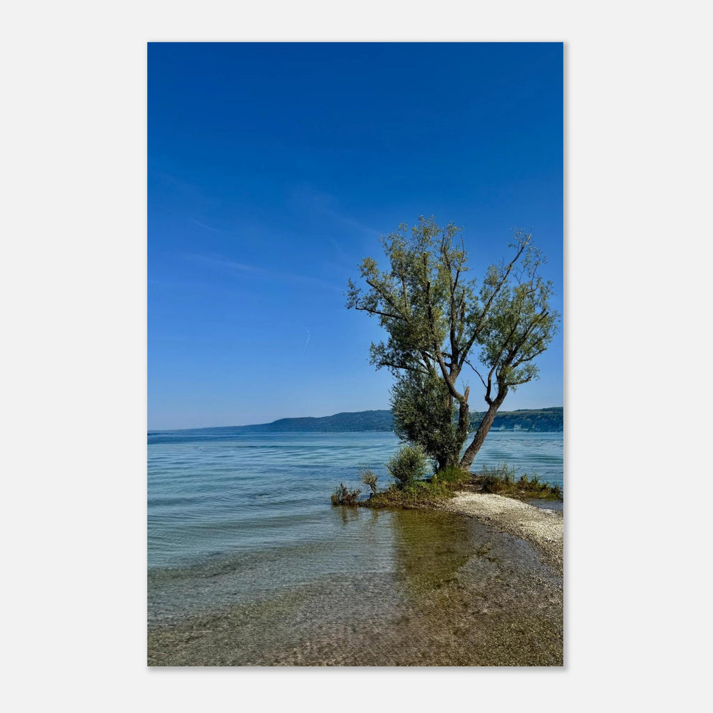 European lake scene featuring a majestic tree on aluminum wall art from the My Store Travel Collection.