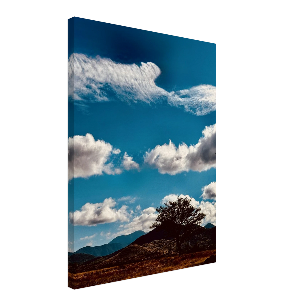 Oaxaca Mountains canvas artwork featuring vibrant landscapes, part of the Spring' 26 travel collection by My Store.