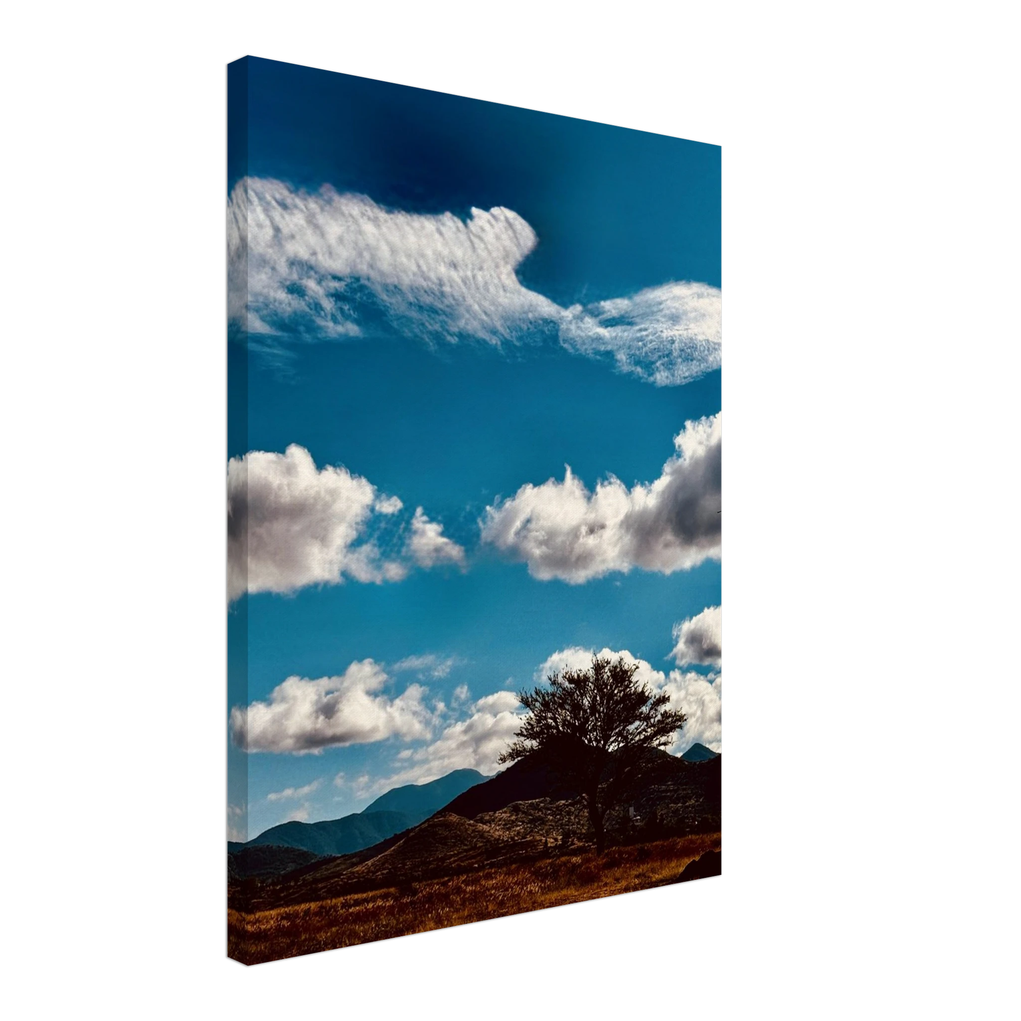 Oaxaca Mountains canvas artwork featuring vibrant landscapes, part of the Spring' 26 travel collection by My Store.