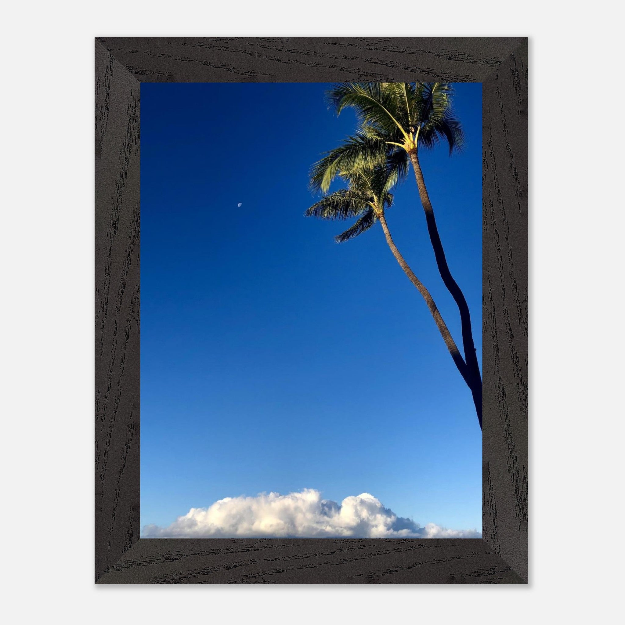 47be1098-93f5-4c4d-9024-67177c91d6a2