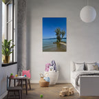 Aluminum wall art print of a majestic tree by a European lake, part of the Nature-Inspired Travel Collection, Studio Edition.