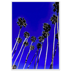 4cb6e8c2-e572-444d-bc6c-d9a932853b04