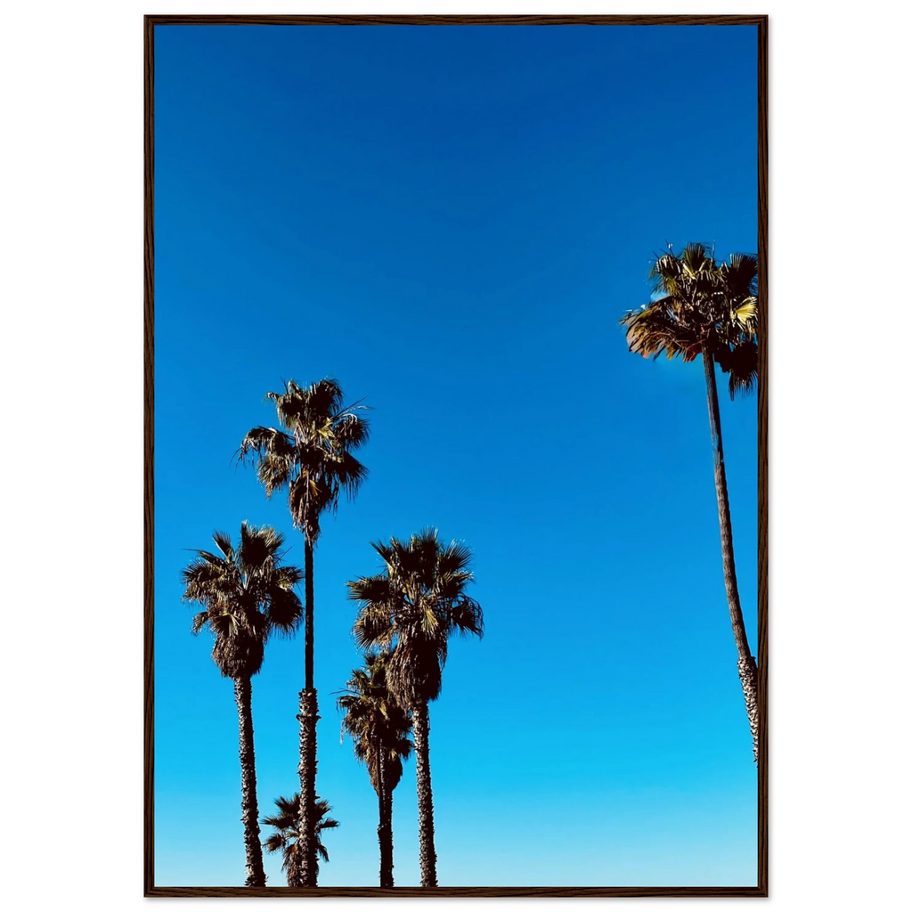 CaliCuration Santa Barbara Palm Tree Magic home decor poster, semi-glossy paper with wooden frame, California-themed art, spring 2026 studio edition.