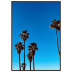 CaliCuration Santa Barbara Palm Tree Magic home decor poster, semi-glossy paper with wooden frame, California-themed art, spring 2026 studio edition.
