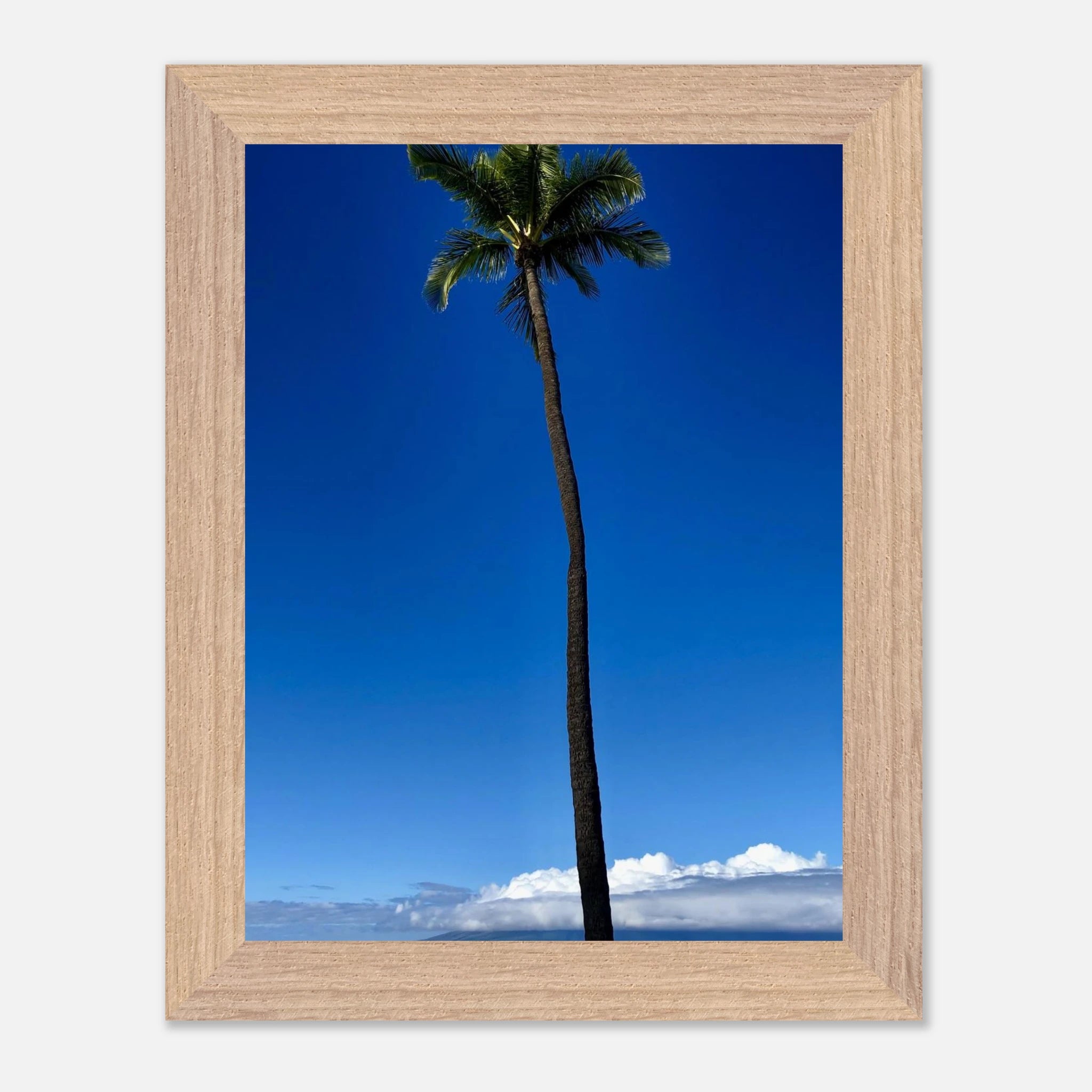 Hawaii Majestic Palm Tree Maui framed print by CaliCuration, featuring tropical palm trees in a vibrant travel-themed poster.