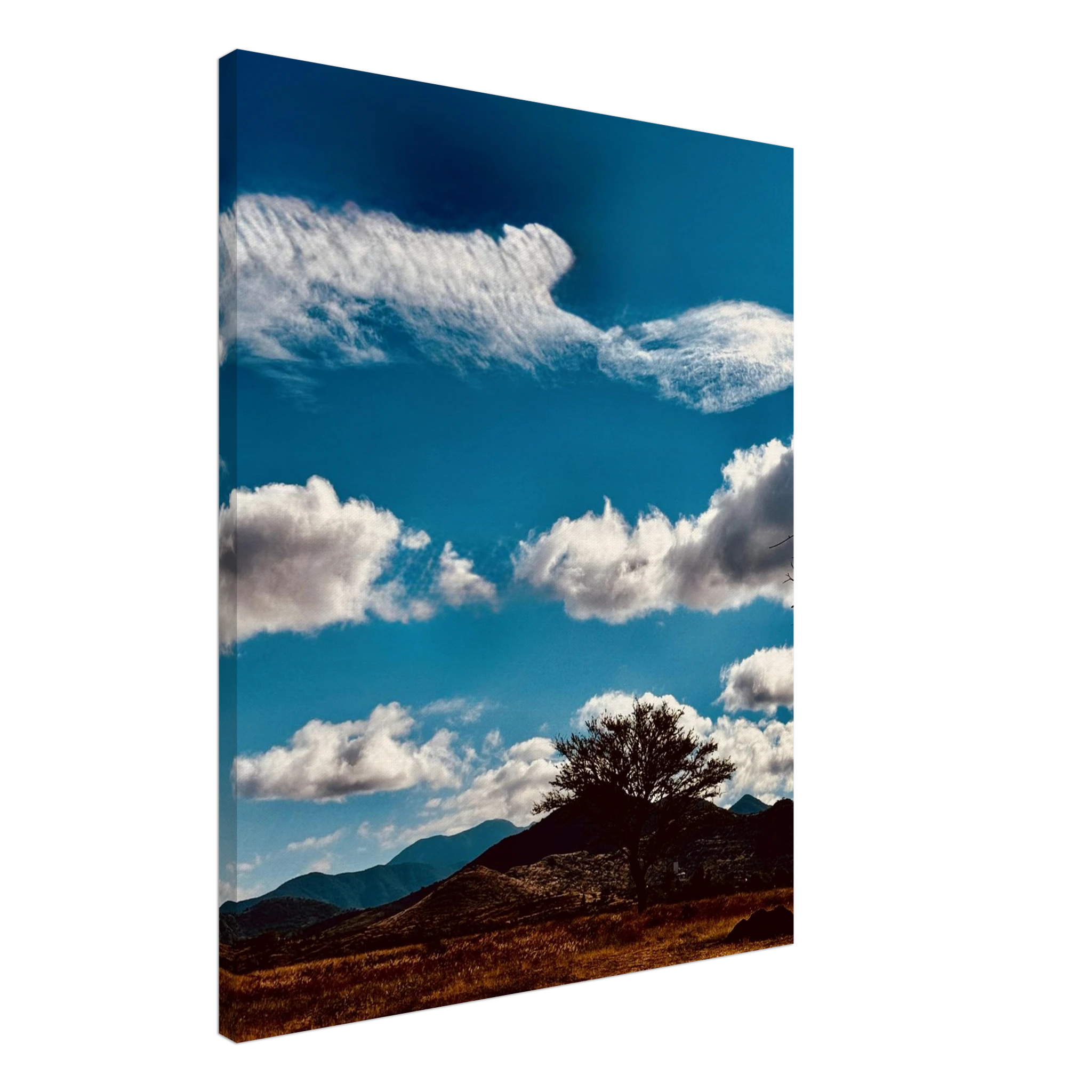 Oaxaca Mountains canvas artwork featuring vibrant colors and scenic landscapes, part of the Spring 2026 travel collection.