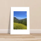 High-quality framed art print of Malibu Canyon in spring bloom wildflowers, California poster art by My Store.