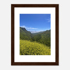 High-quality framed art print of Malibu Canyon in spring bloom wildflowers, showcasing vibrant California landscape artwork.
