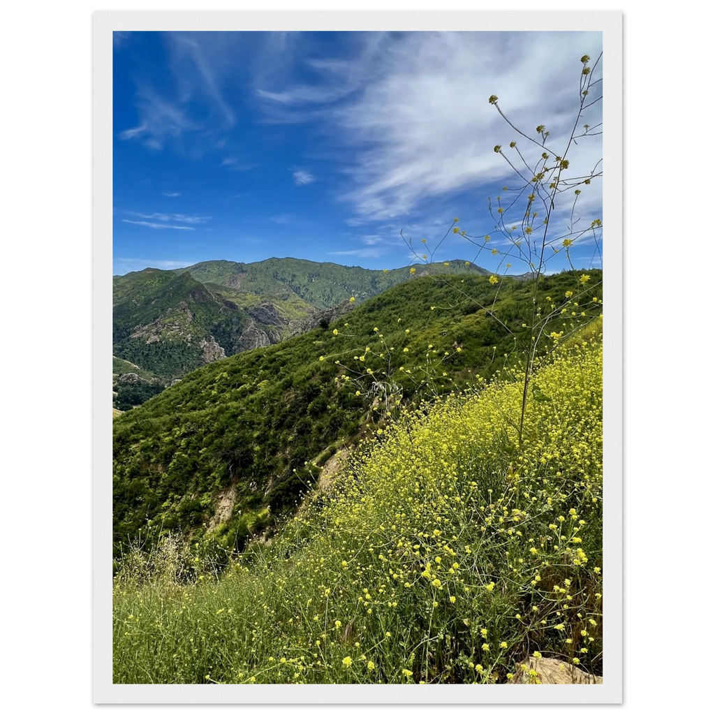 Malibu Canyon wildflowers wooden framed poster on museum-quality matte paper wall art with California scenery, studio edition.