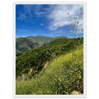 Malibu Canyon wildflowers wooden framed poster on museum-quality matte paper wall art with California scenery, studio edition.