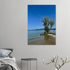 Majestic tree on a European lake aluminum print from the Nature-Inspired Wall Art Travel Collection, studio edition with vibrant details.