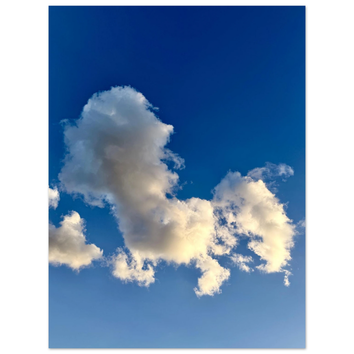 55667e5f-03f4-40c4-aca1-1781e3670b5b