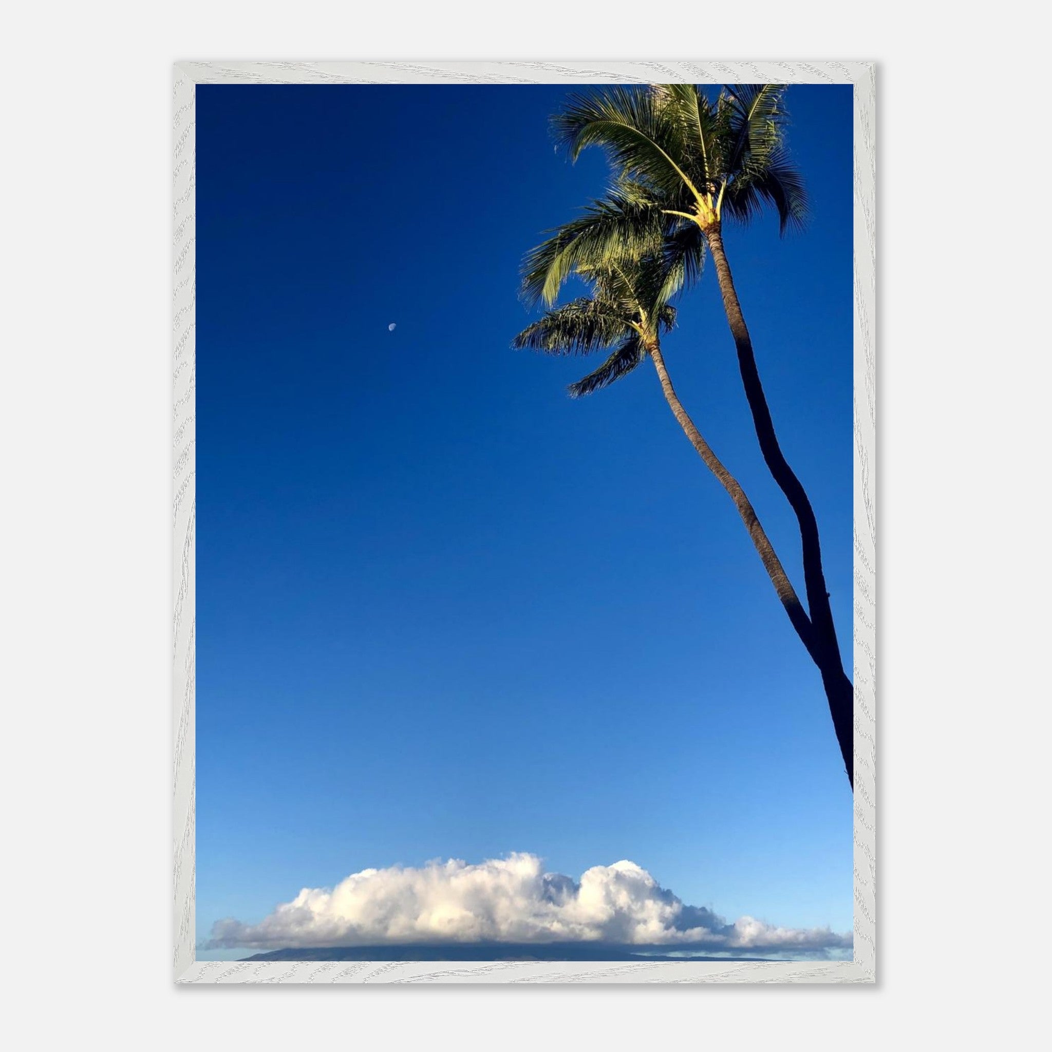 559b35dc-6ca0-432f-8d20-98de6b12e49b