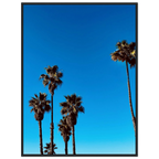 Santa Barbara Palm Tree poster by CaliCuration featuring California-themed home decor, framed on semi-glossy premium paper.