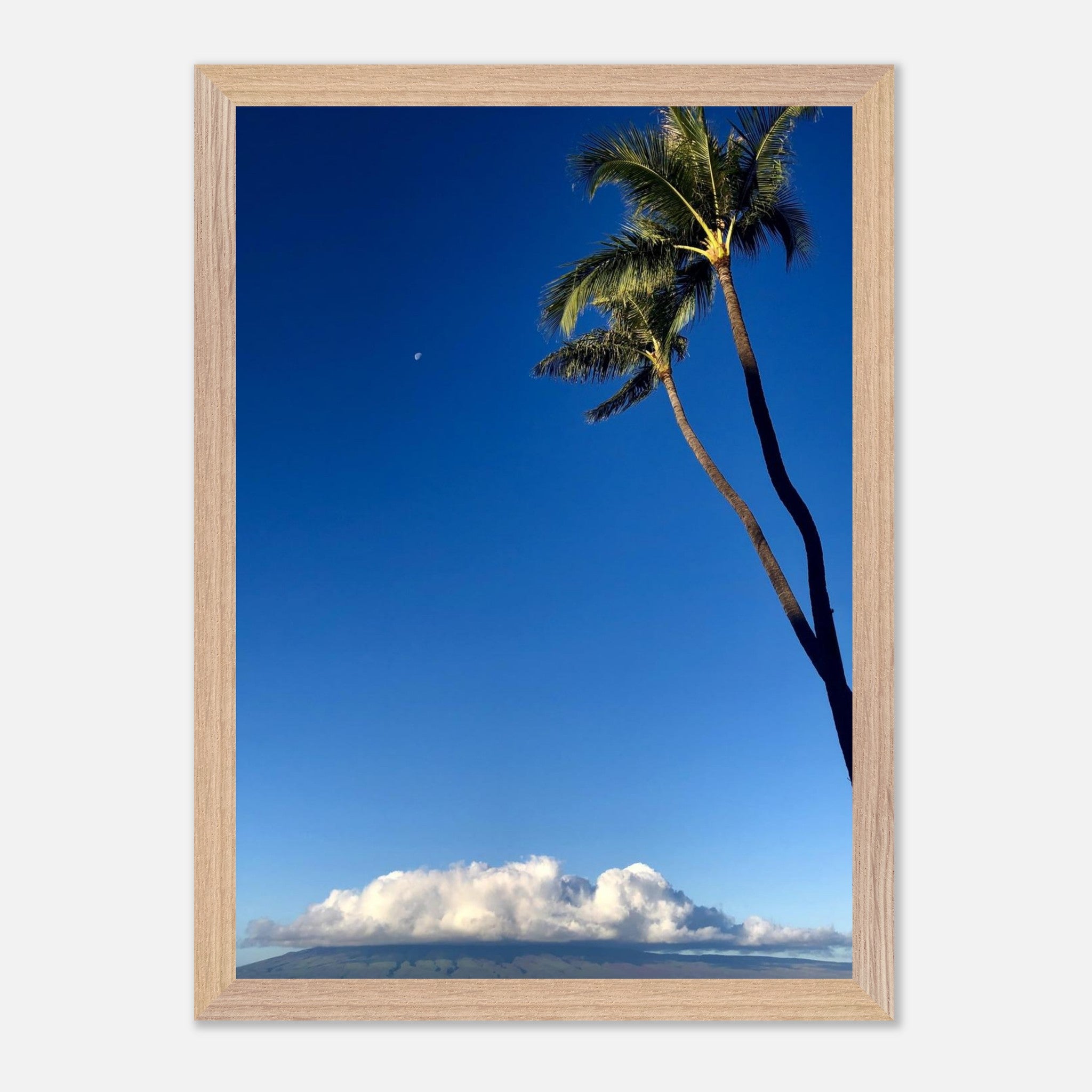 57829d8a-3cbb-4cd4-a37d-f50143f06d46