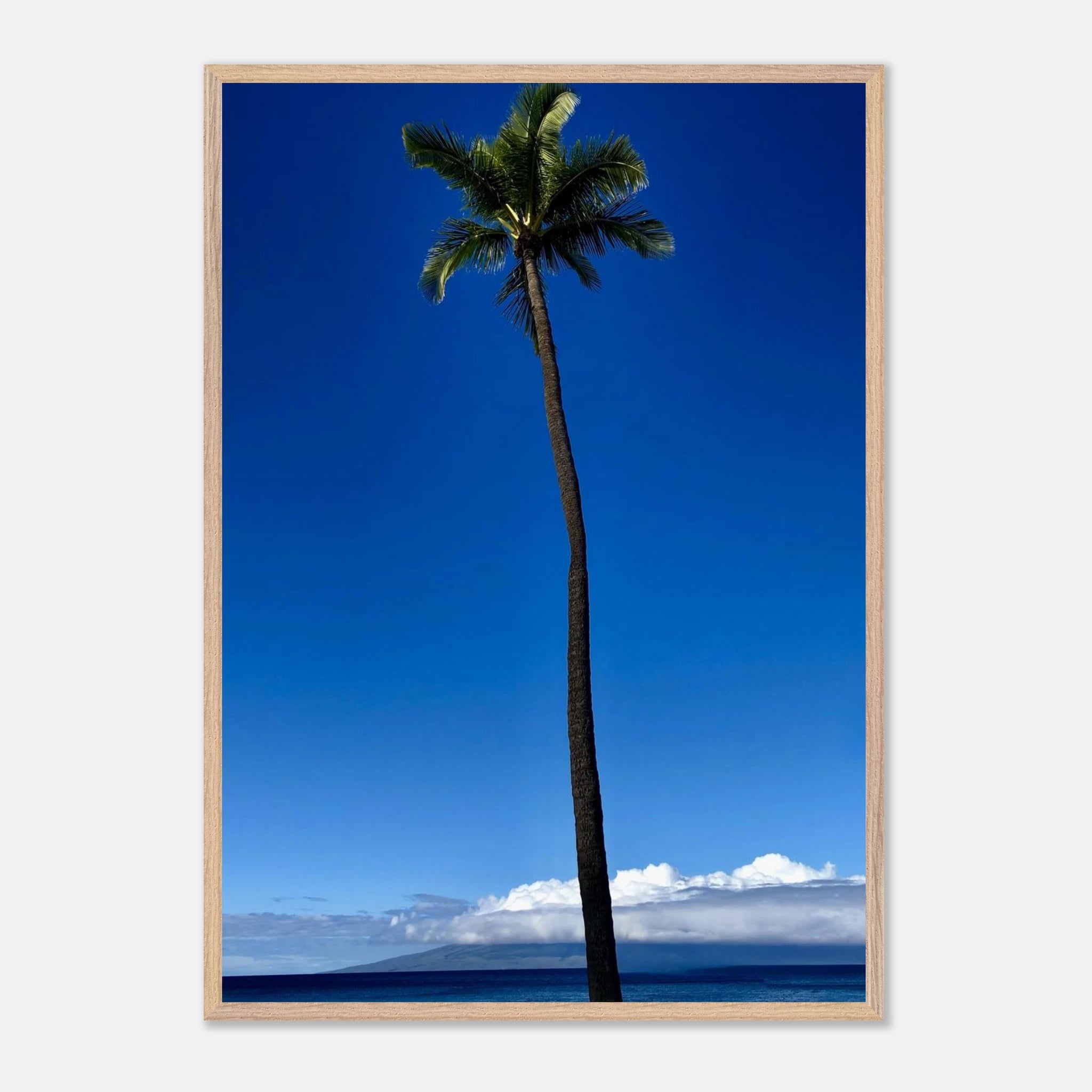 Hawaii Majestic Palm Tree Maui framed print by CaliCuration, featuring tropical scenery from the Travel Collection Studio Edition Spring '26.