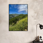 Wooden framed Malibu Canyon Wildflowers poster on museum-quality matte paper wall art, featuring California wildflower scene.