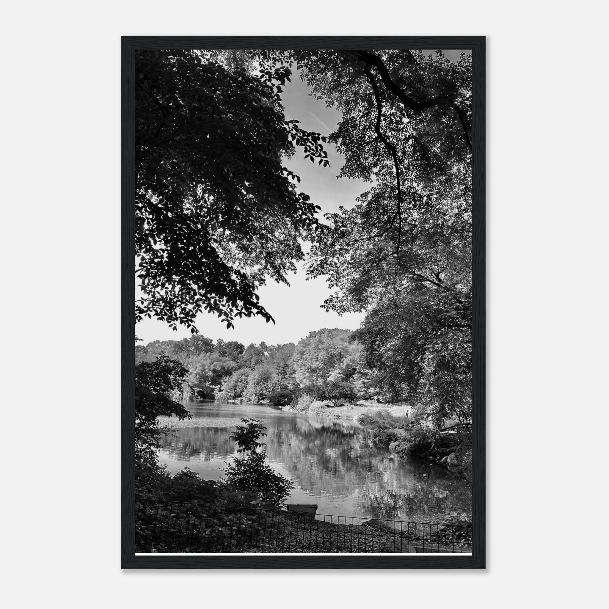 Black and white framed print of a summer lake scene from Upstate NY, part of the Studio Edition Travel Collection.