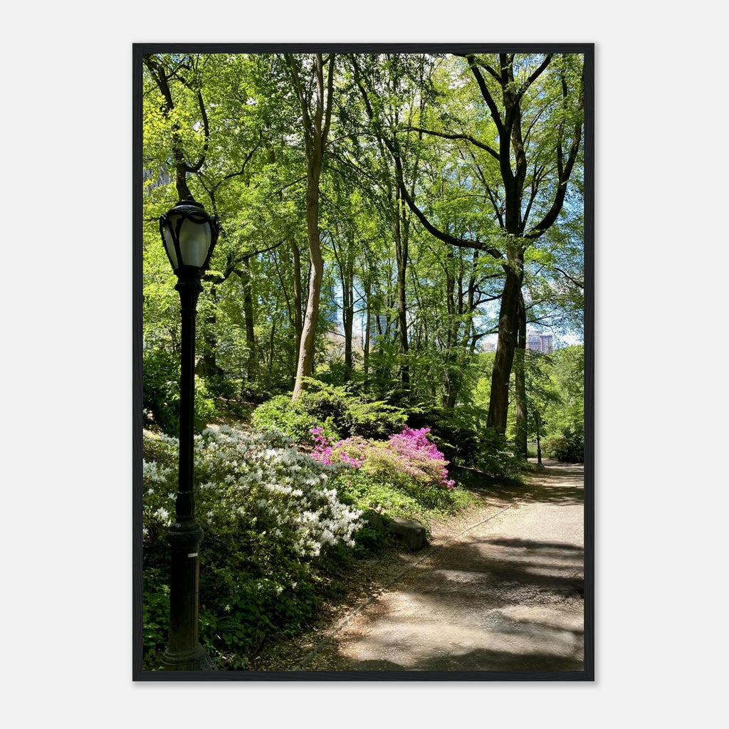 Framed art print of Central Park walkway on premium matte paper, featuring a serene outdoor scene in the travel collection.
