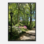 Framed art print of Central Park walkway on premium matte paper, featuring a serene outdoor scene in the travel collection.