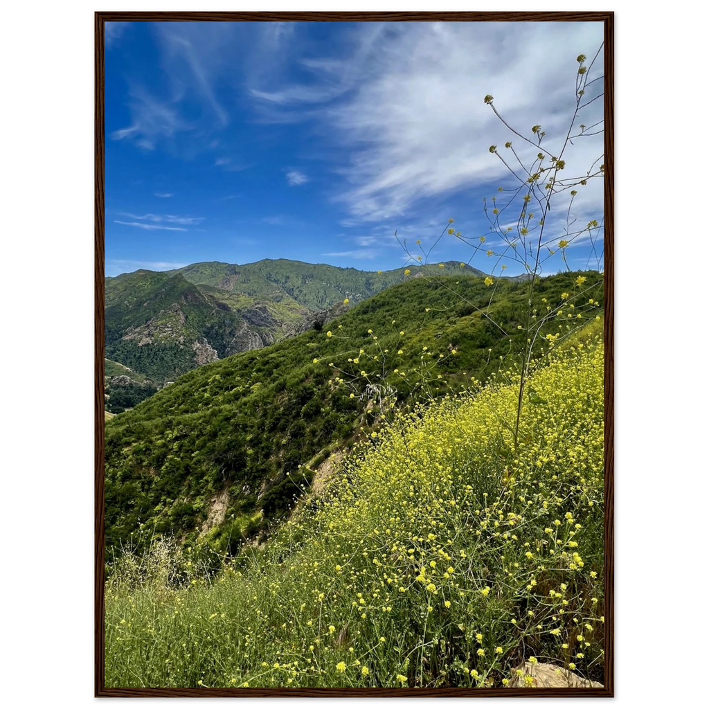 Malibu Canyon Wildflowers wooden framed poster on museum-quality matte paper wall art showcasing California wildflower scene, Studio Edition.