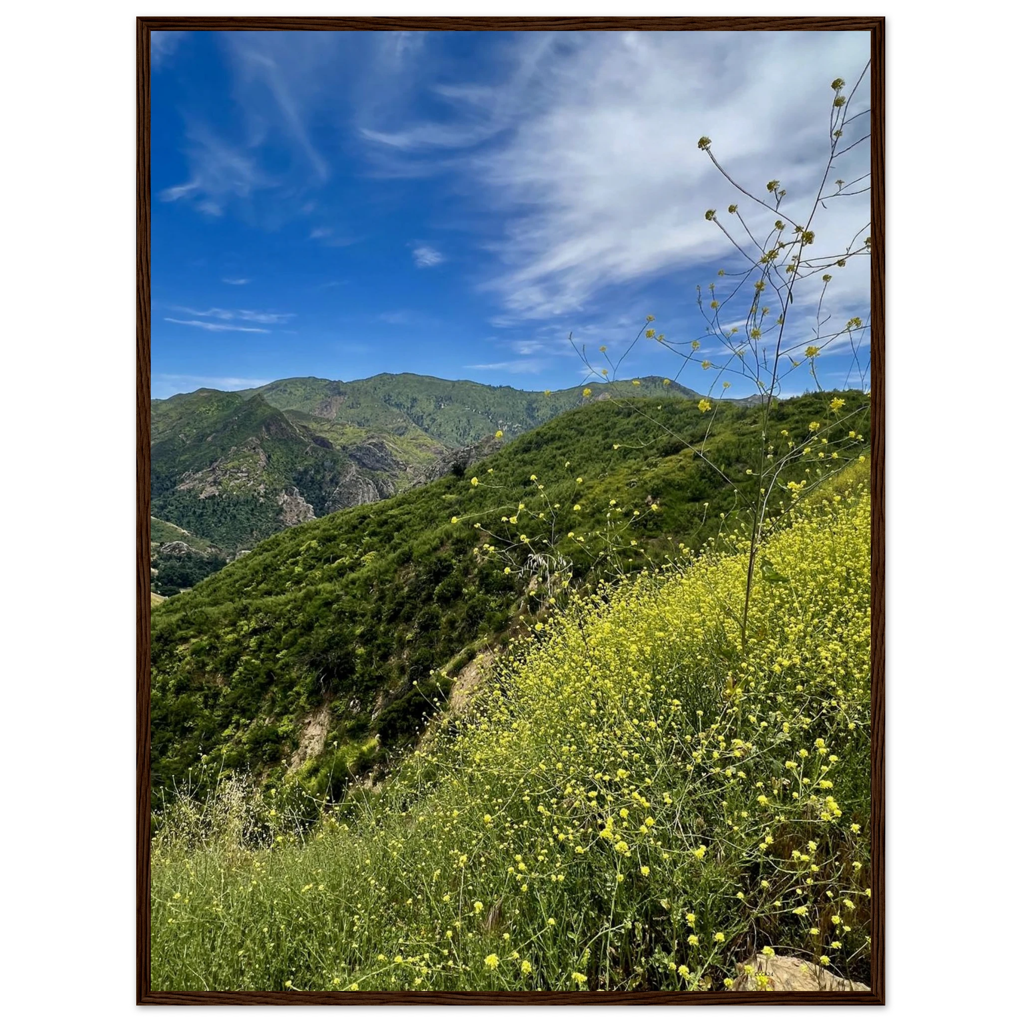 Malibu Canyon Wildflowers wooden framed poster on museum-quality matte paper wall art showcasing California wildflower scene, Studio Edition.