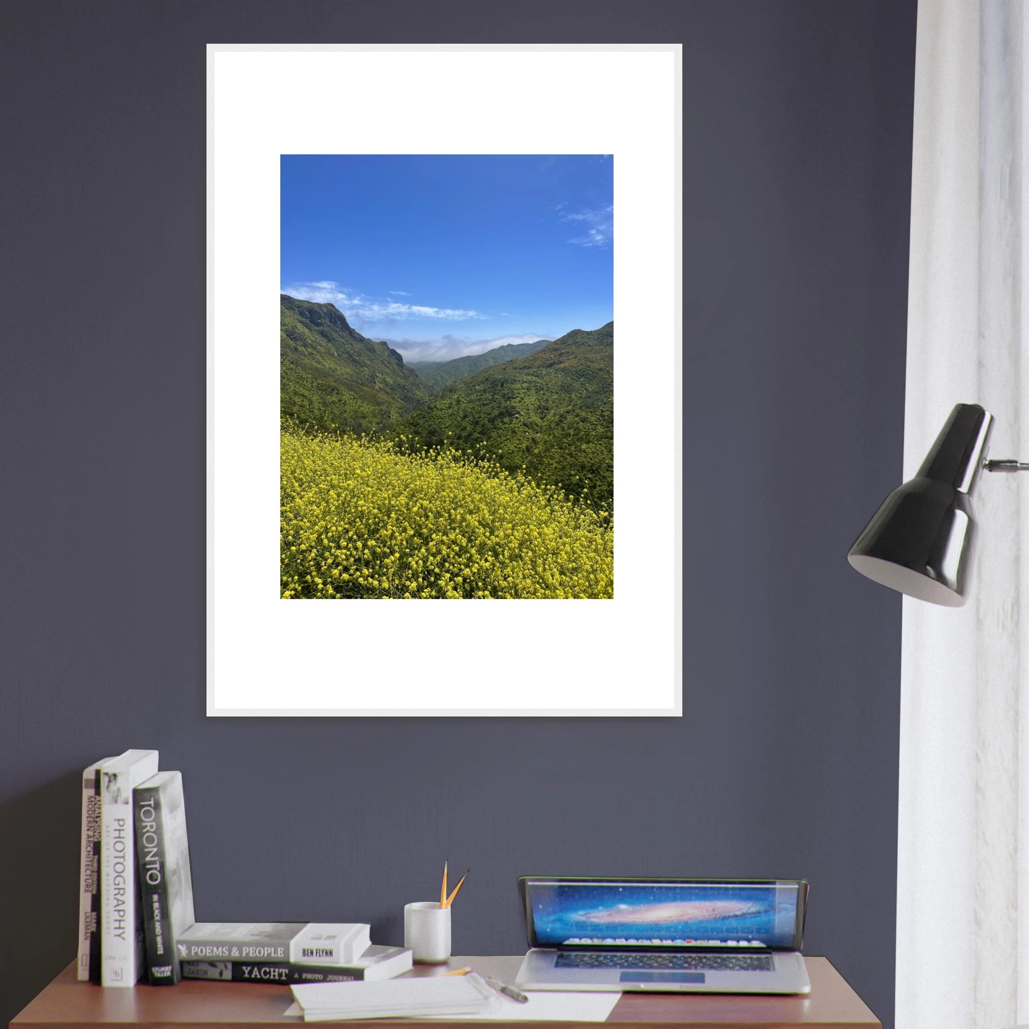 High-quality framed art print of Malibu Canyon in spring bloom wildflowers, showcasing vibrant California poster art by My Store.