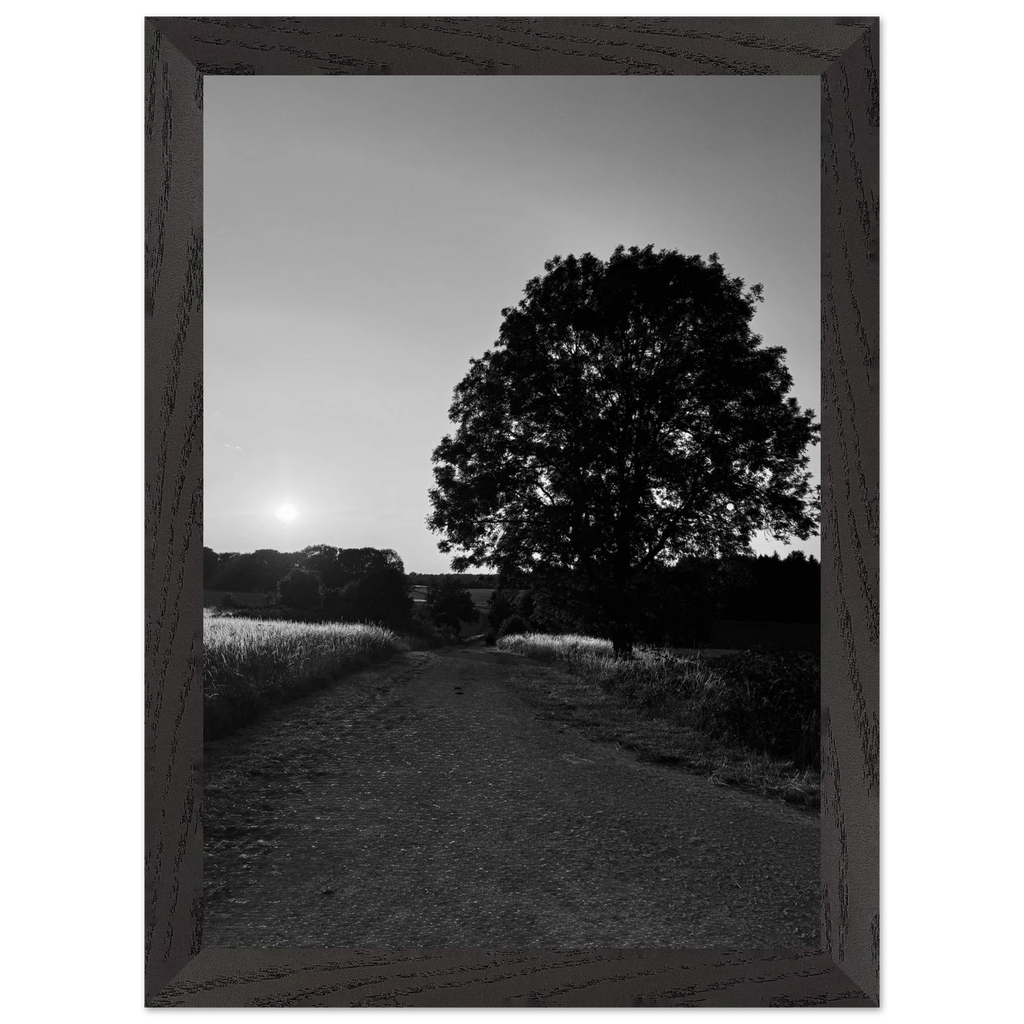 Mounted wooden framed poster of summer in the English Cotswolds, black and white travel print from My Store's studio edition.