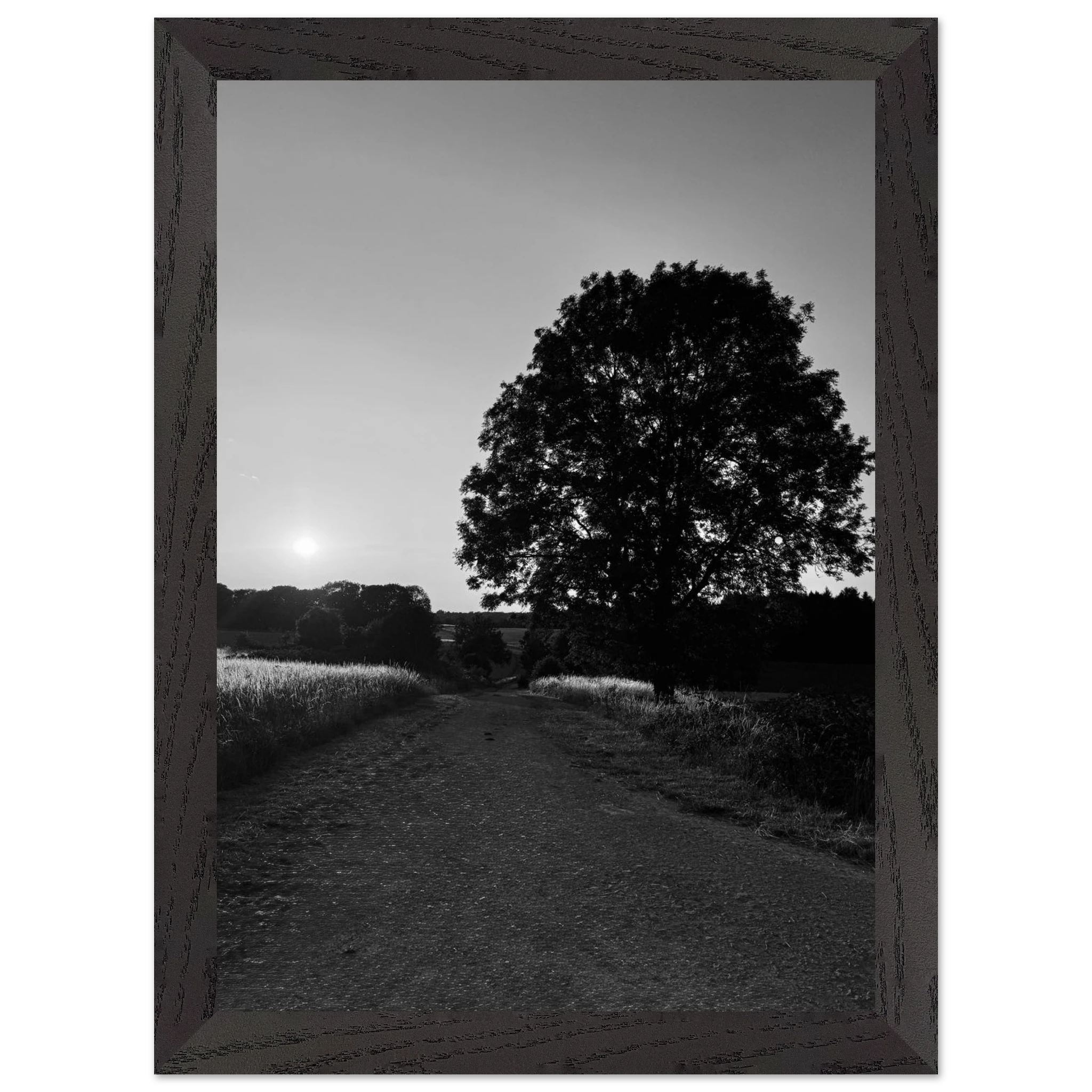 Mounted wooden framed print of a black and white summer scene in the English Cotswolds from the My Store travel collection.