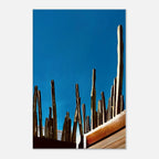 Mexico cactus family rooftop canvas artwork print from the Travel Collection Studio Edition Spring 2026, featuring vibrant desert plants.