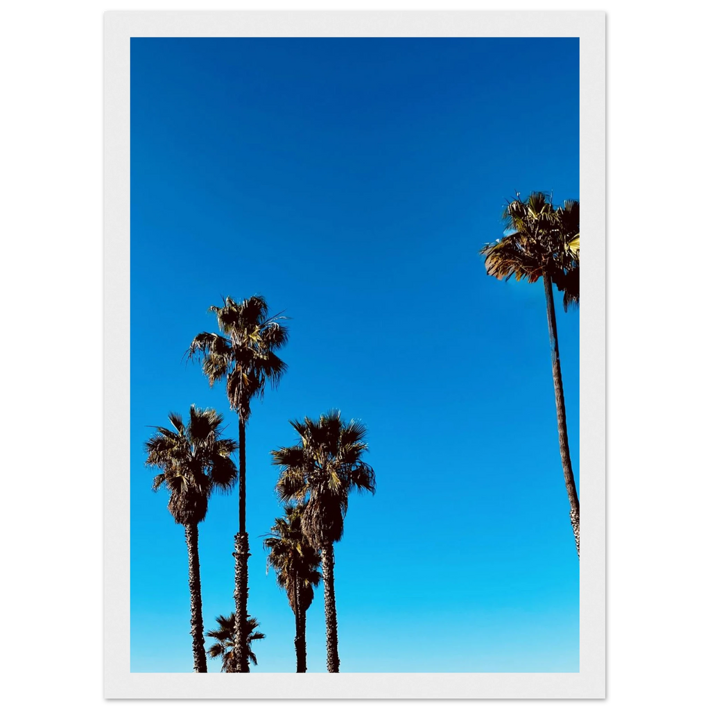 Wooden framed Santa Barbara Palm Tree Magic poster by CaliCuration, California home decor art in semi-glossy paper, spring 2026 studio edition.