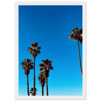 Wooden framed Santa Barbara Palm Tree Magic poster by CaliCuration, California home decor art in semi-glossy paper, spring 2026 studio edition.