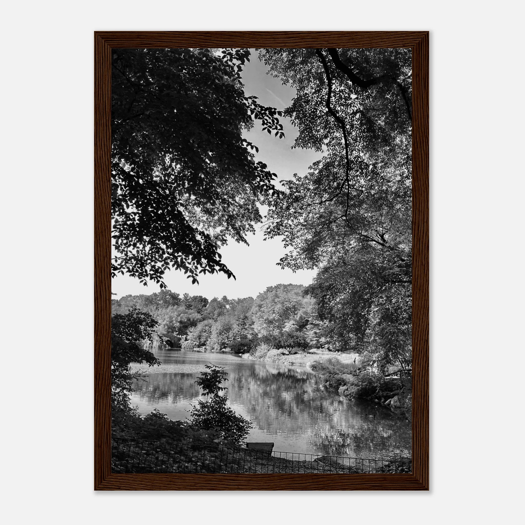 Black and white framed print of a summer lake scene from Upstate NY, part of the Studio Edition Travel Collection.