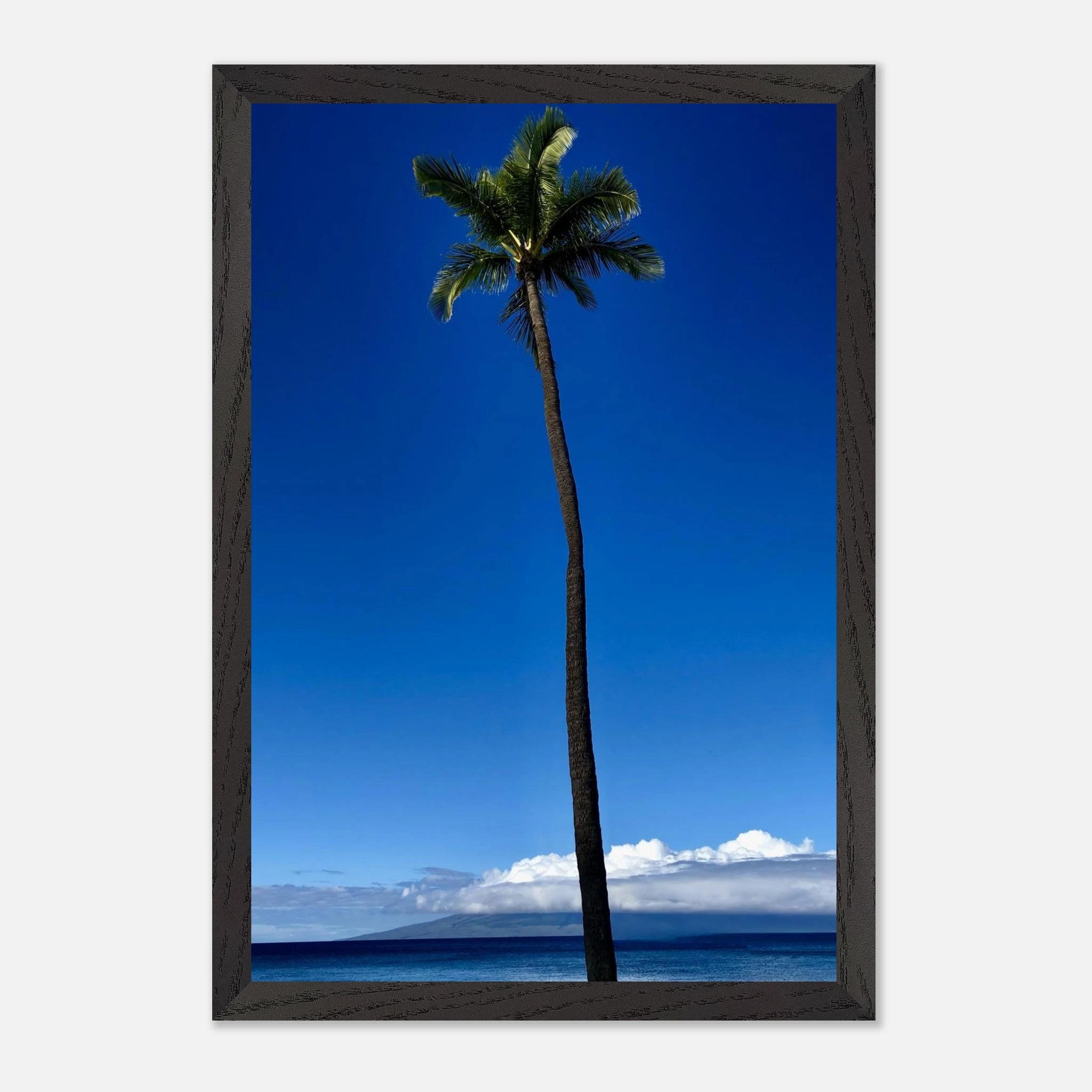Hawaii Majestic Palm Tree Maui framed poster print by CaliCuration, showcasing a scenic tropical palm scene from the travel collection.
