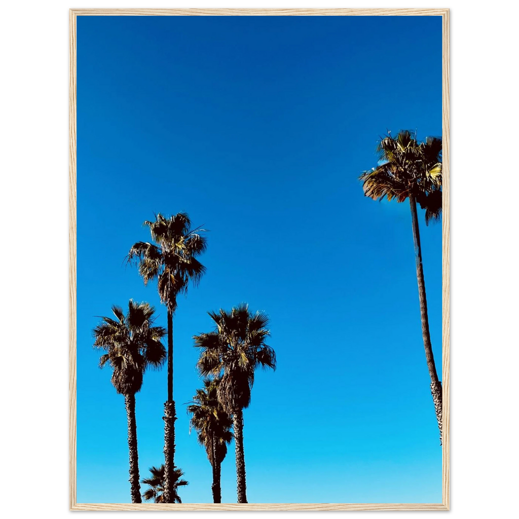 Wooden framed Santa Barbara Palm Tree poster art by CaliCuration, semi-glossy paper, California-themed home decor for spring 2026.